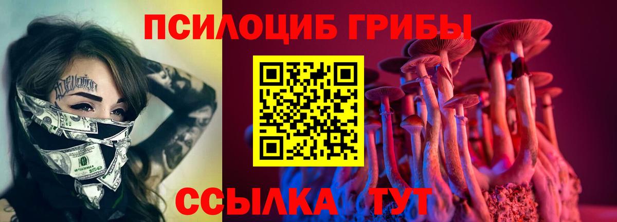 Галлюциногенные грибы Psilocybe  Вход с VPN  Торжок  Галлюциногенные грибы прущие грибы 
